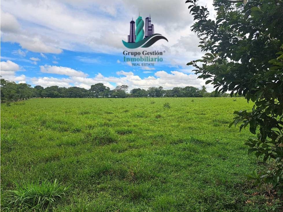 VENDO FINCA DD 5HECTAREAS PLANAS - 1