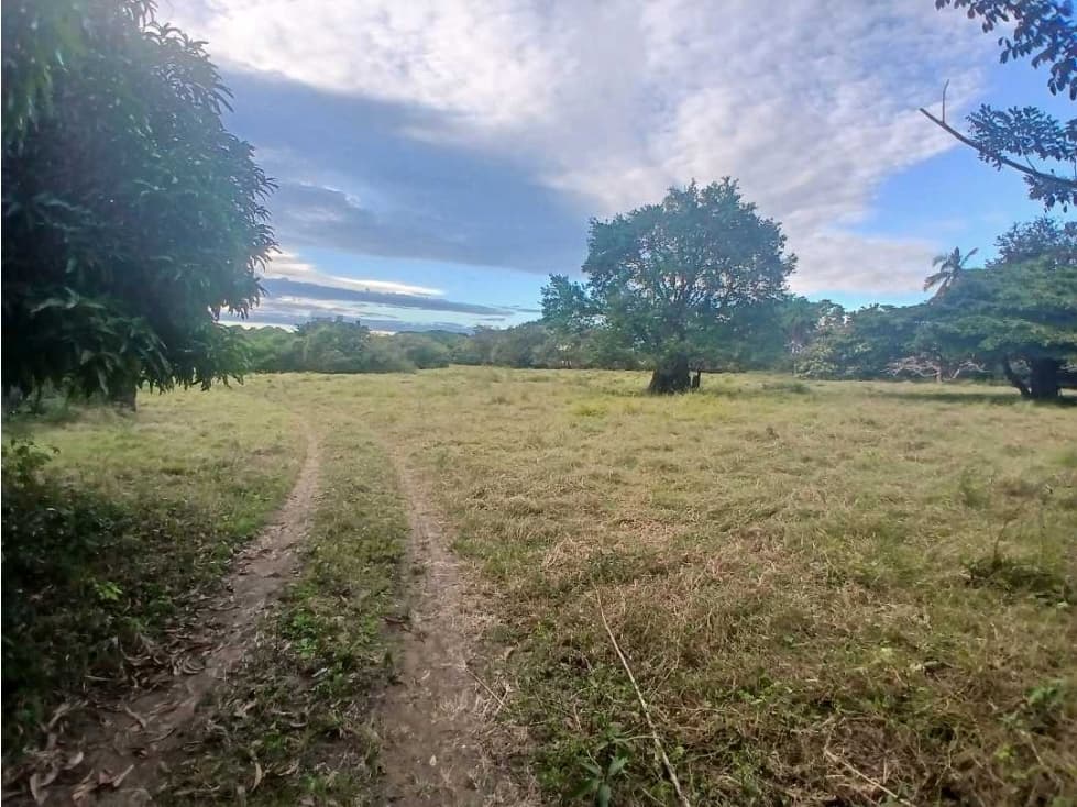 VENDO FINCA DE 10 HECTAREAS EN LOS HATILLOS DE LAS TABLAS - 1