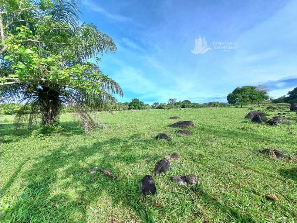 VENDO FINCA DE 120HA GANADERIA-TOP PLANA - 1