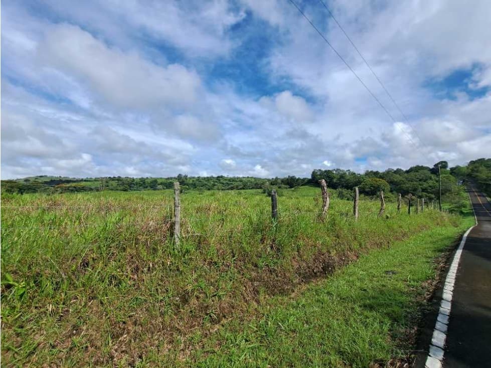 VENDO FINCA DE 135 HECTAREAS 900M.S.N.M. - 1