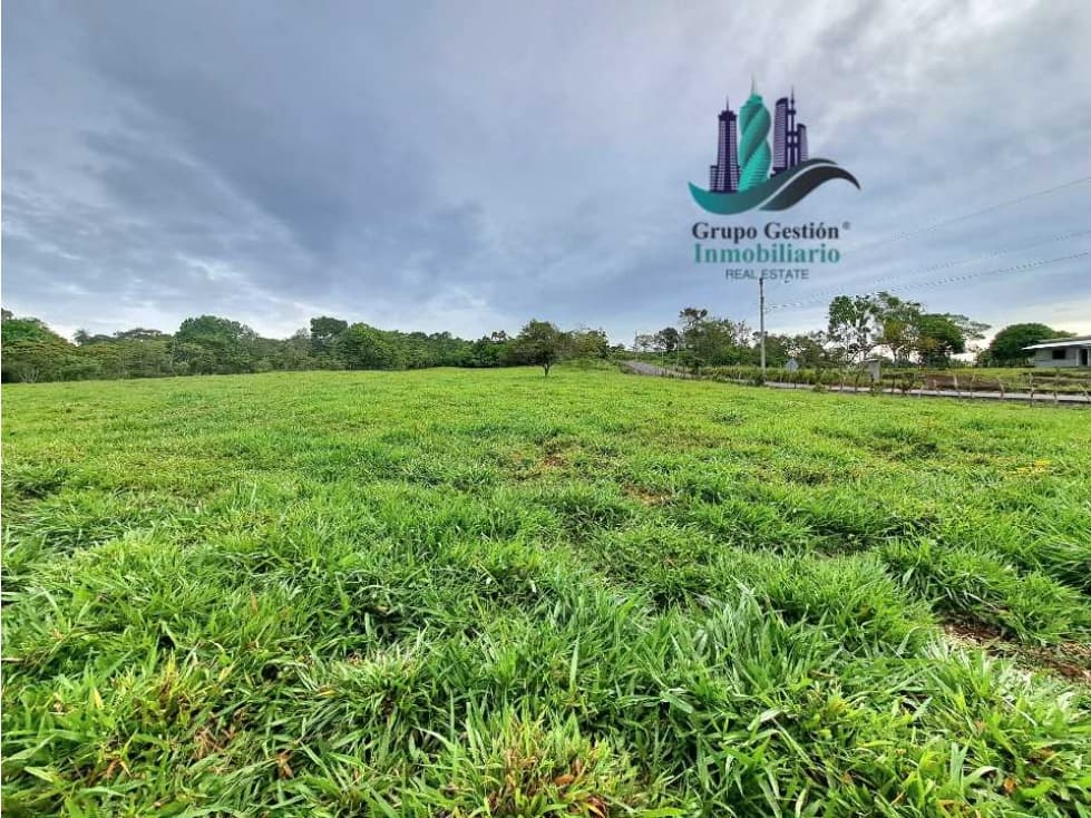 VENDO FINCA DE 13 HECTAREAS EN BUGABA A 700M.S.N.M. - 1