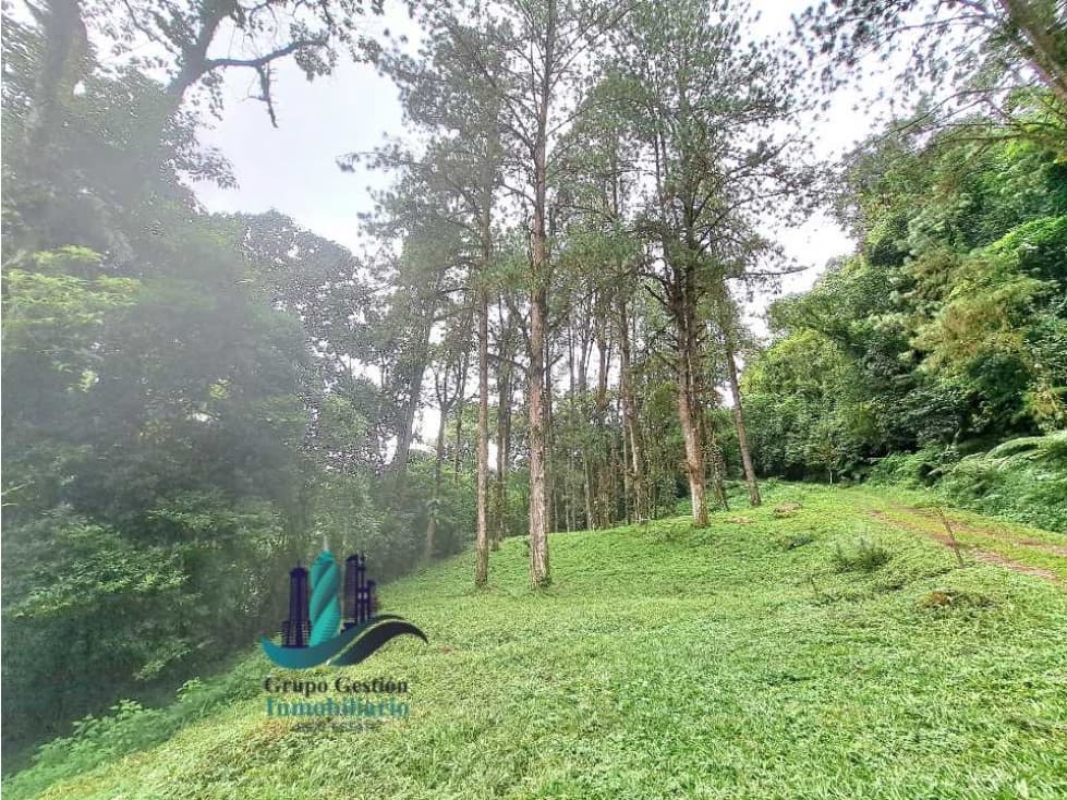 VENDO FINCA DE 195 HECTAREAS EN COORDILLERA CON AGUA VIVA - 1