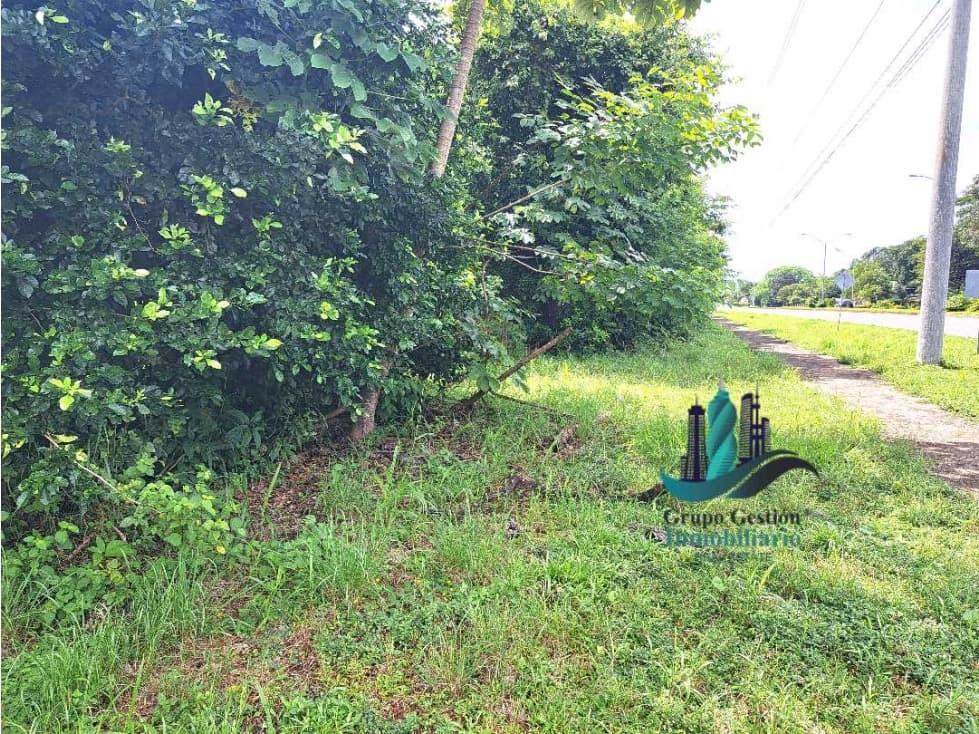 VENDO FINCA + DE 1 KILOMETRO DE FRENTE INTERAMERICANA SAN LORENZO - 1