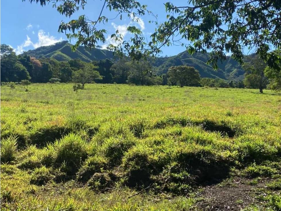 VENDO FINCA DE 198 HECTAREAS VOLCAN - 1