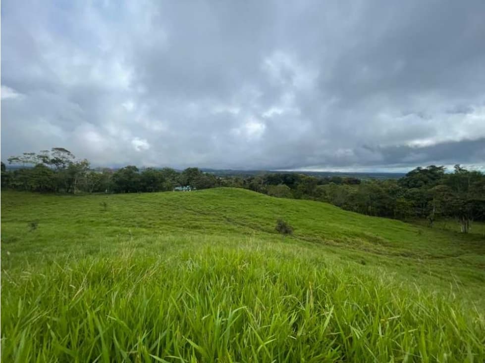 VENDO FINCA DE 21 HECTAREAS POTRERILLOS - 1