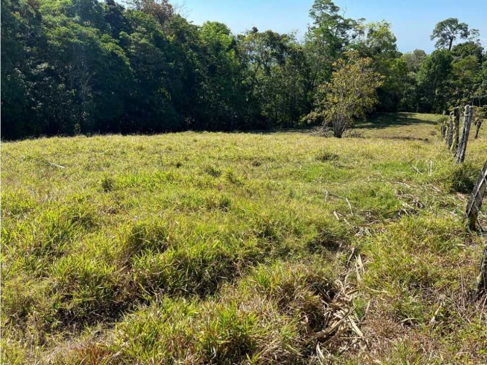 VENDO FINCA DE 23 HECTAREAS + CON AGUA VIVA - 1