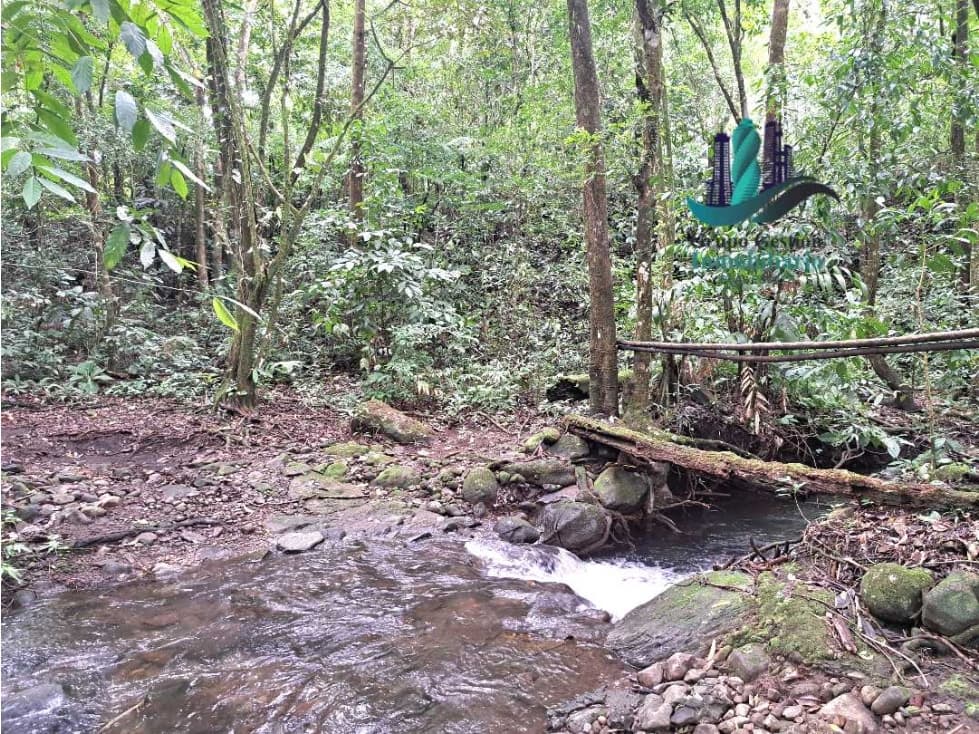 VENDO FINCA DE 2HECTAREAS +7613MTS CON.RIO.Y QUEBRADA - 1