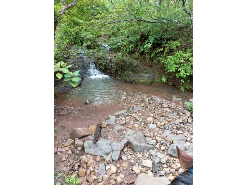 VENDO FINCA DE 30 HECTAREAS CON AGIA VIVA - 1
