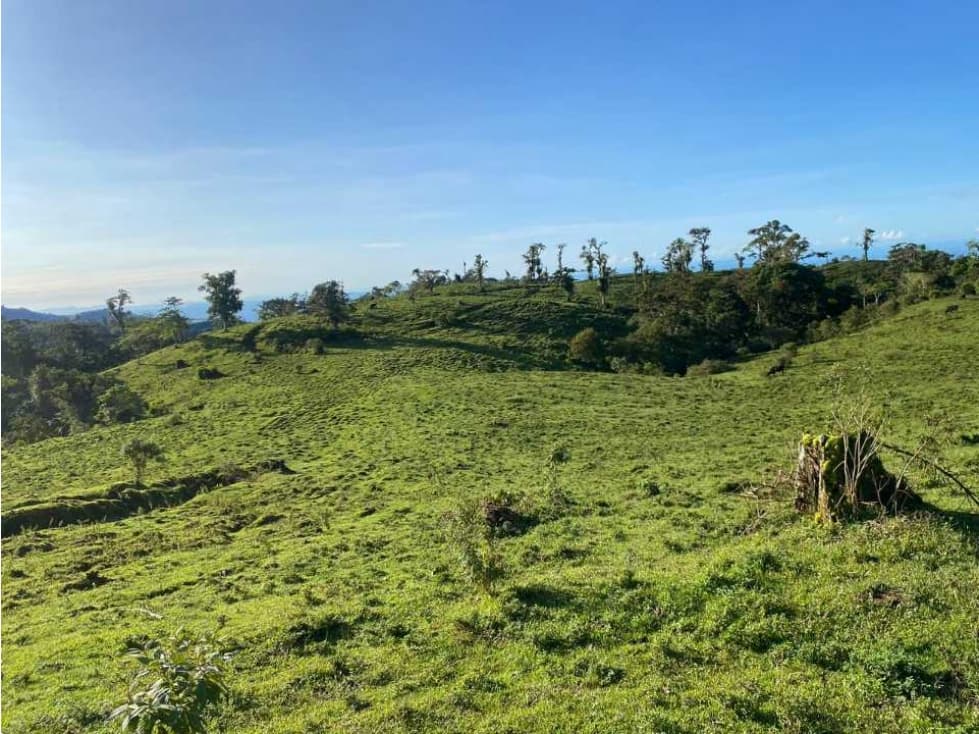 VENDO FINCA DE 368 HECTAREAS COORDILLERA - 1