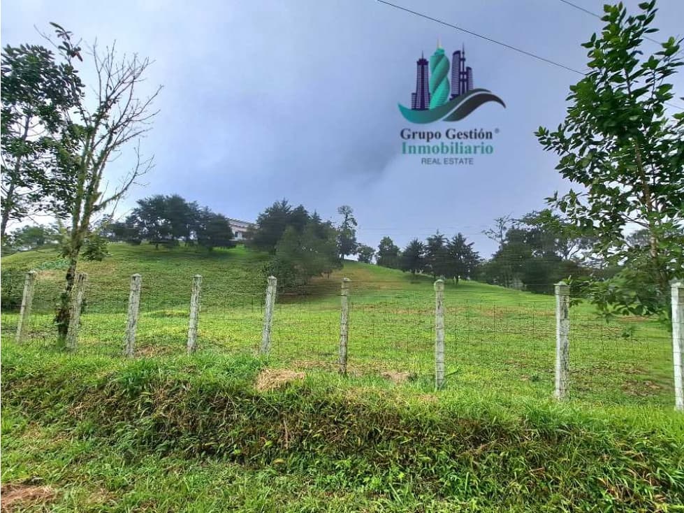 VENDO FINCA DE 51HECTAREA A 1500 M.S.N.M. - 1