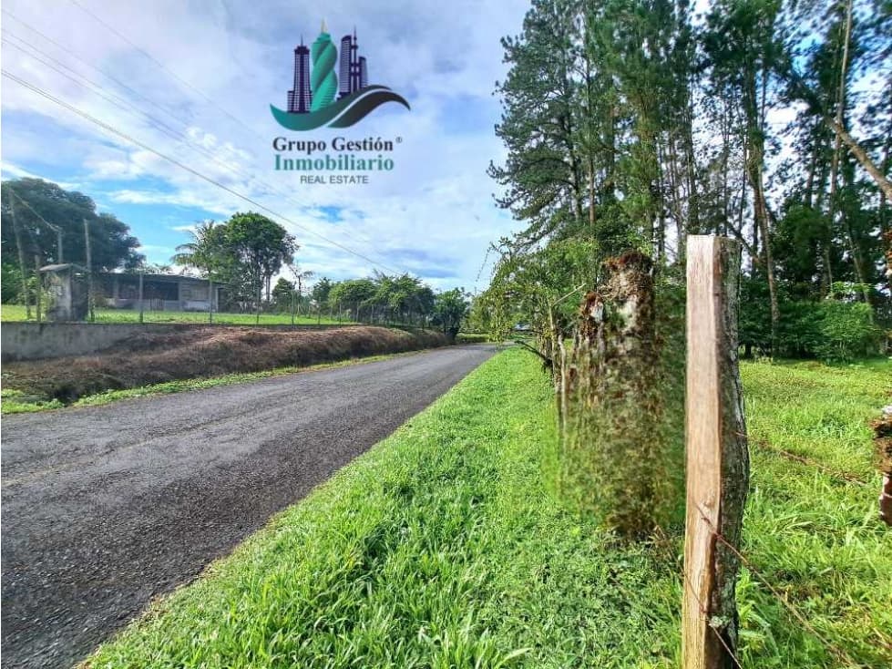 VENDO FINCA DE 6.5 HA CON ALTITUD DE 995M.S.N.M. - 1