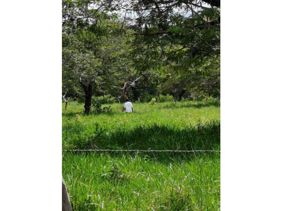 VENDO FINCA DE 73 HECTAREAS CON EQUIPOS DE LECHERIA SAN JUAN - 1