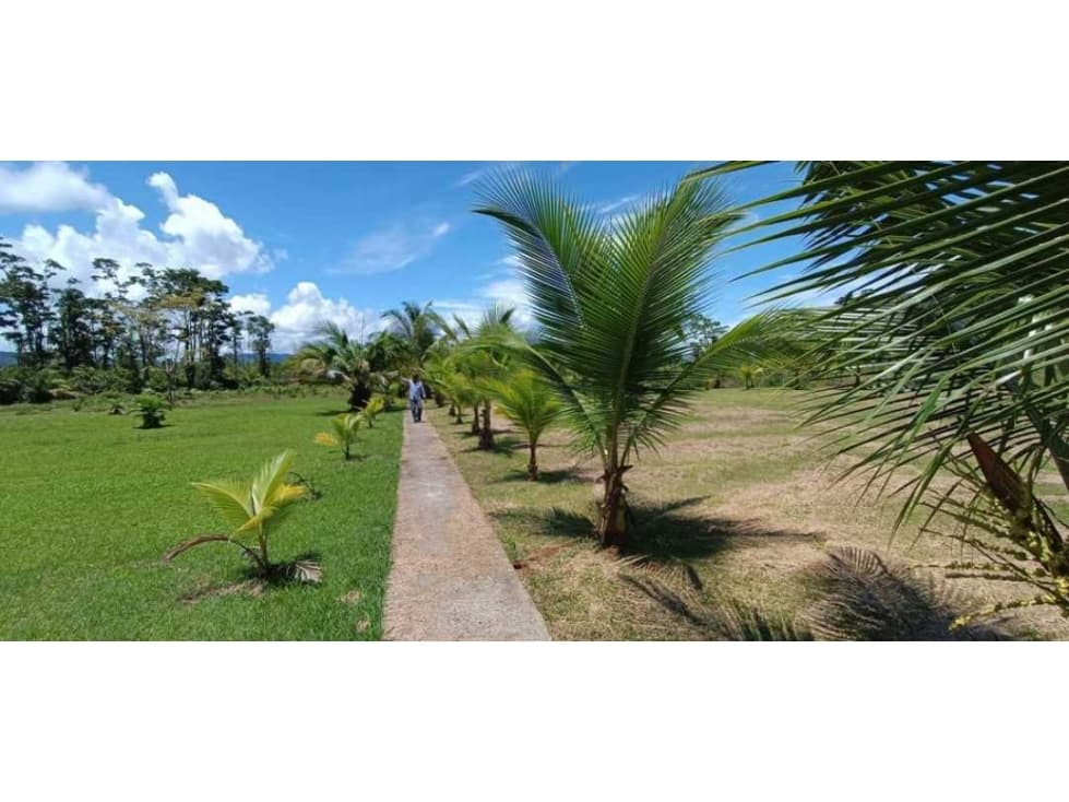 VENDO FINCA DE 7HA CON SALIDA AL MAR - 1