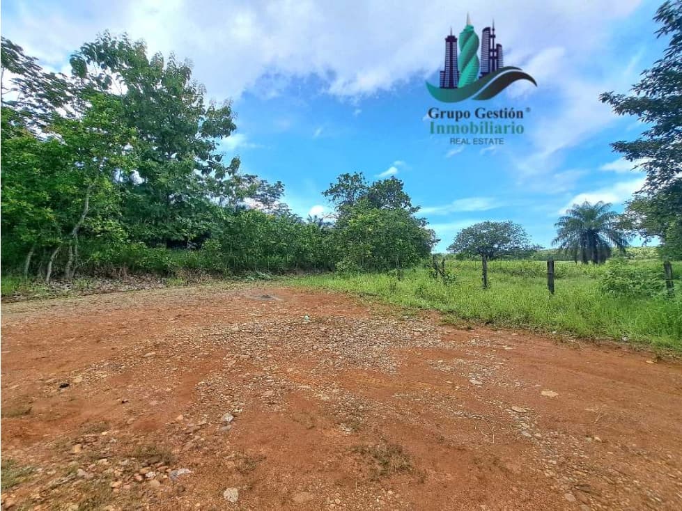 VENDO FINCA DE 88HA HORCONCITOS - 1
