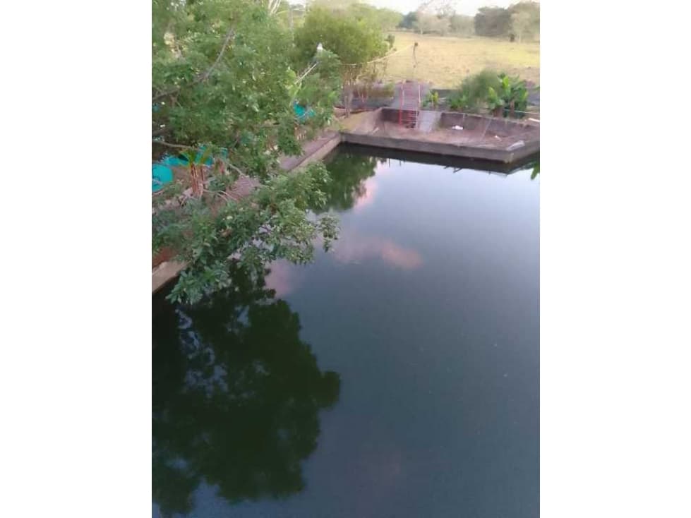 VENDO TERRENO PARA TILAPIA EN BUGABA - 1