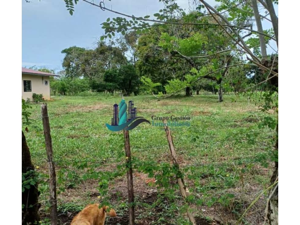 VENDO LOTE DE 2000M2 TITULADO TINAJAS - 1