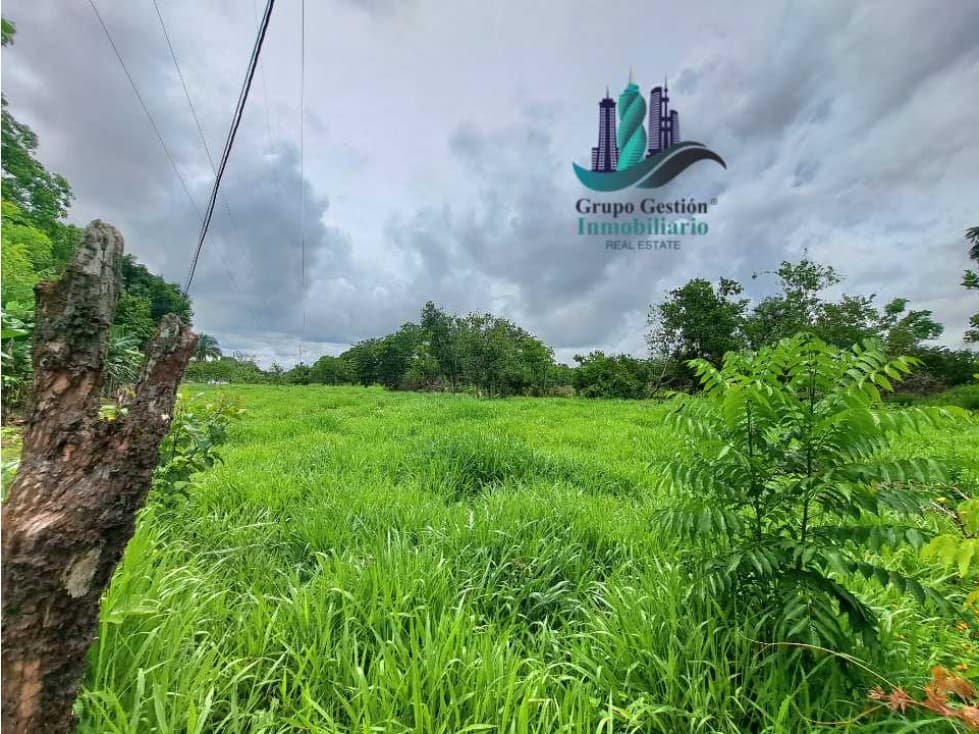 VENDO LOTE DE 4555M2 + AREA CAMPESTRE - 1