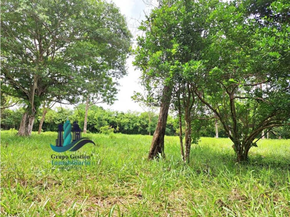 VENDO LOTE DE 9525MTS DIVALA - 1