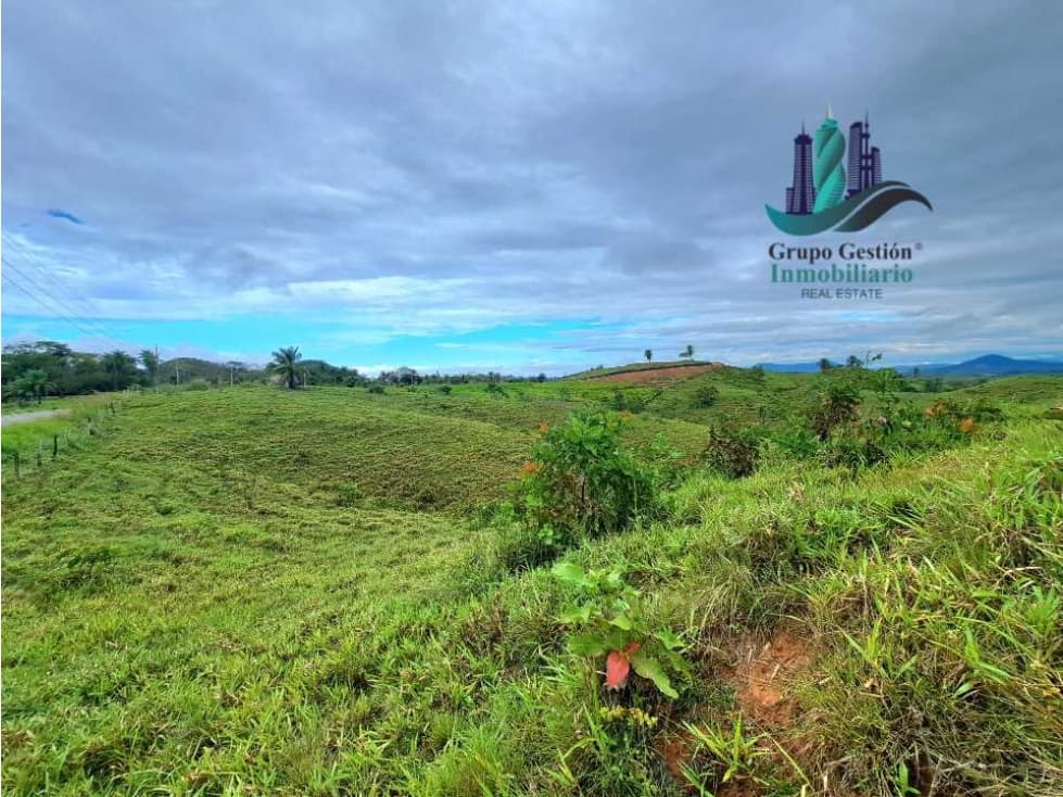 VENDO LOTE SEGREGADO DE 5000MTS VIA BOCA CHICA - 1