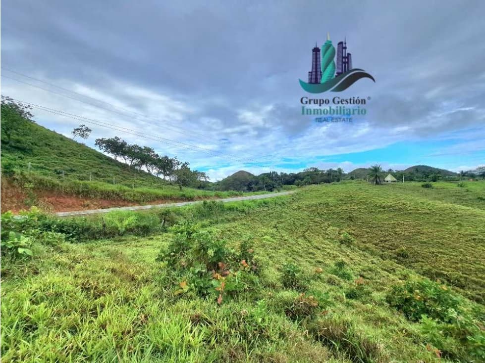 VENDO TERRENO DE UNA HECTAREA + VIA BOCA CHICA - 1