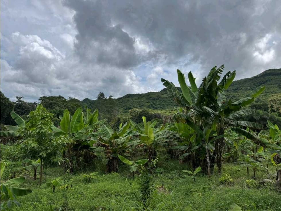 Vendo terrenos en La Pintada Cocle - 1