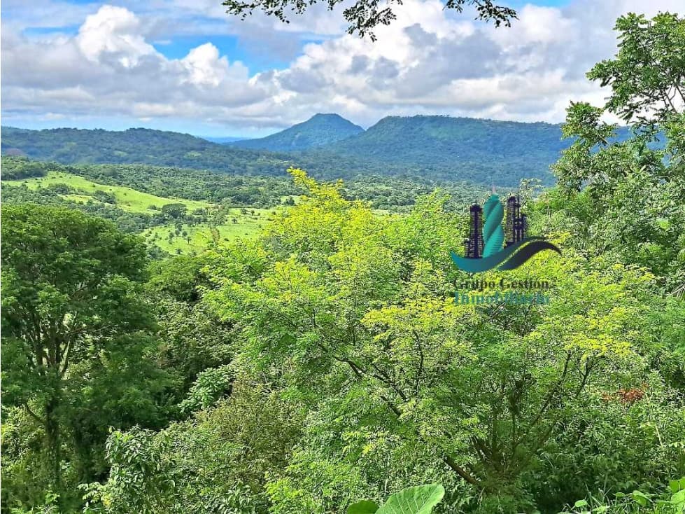 VENDO.FINCA DE 180HA GUALACA - 1