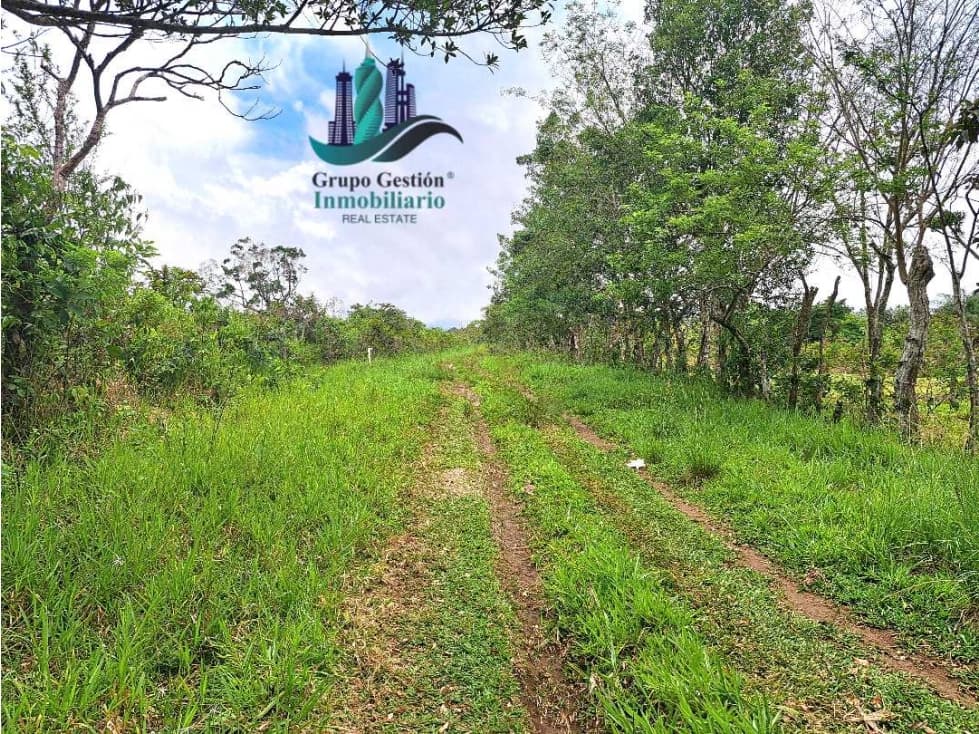 VENDO.FINCA DE 3HECTAREAS+6067Mts POTRERILLOS - 1