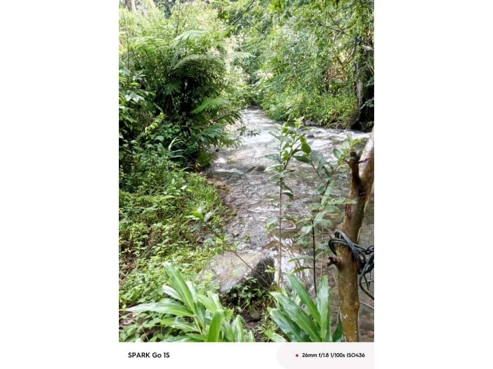 VENDO.FINCA DE 4.5 HECTAREAS BOSQUE CON.RIO - 1