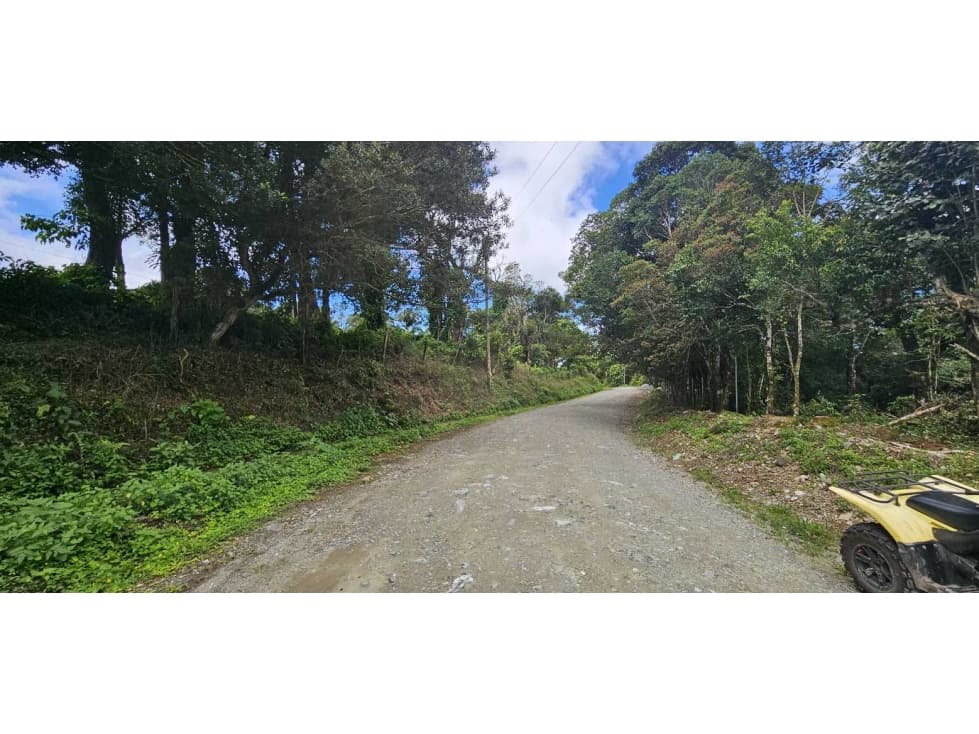 VENDO.FINCA EN JARAMILLO.7 HAS - 1