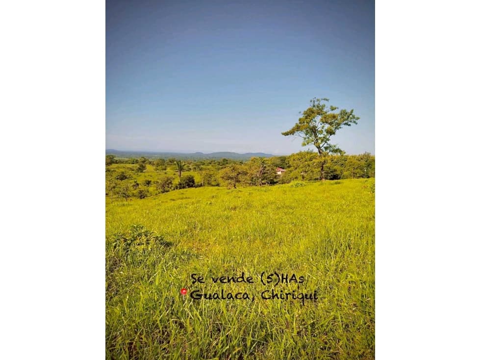 VENTA DE FINCA EN GUALACA 5 HECTAREAS - 1