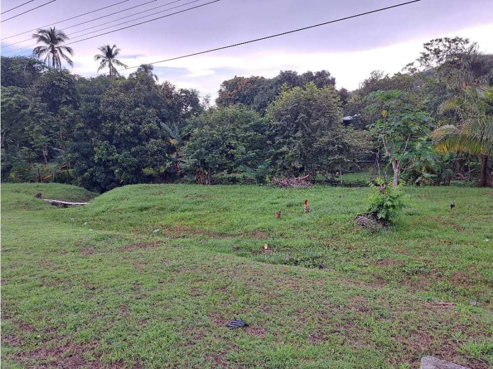 VENTA DE FINCA EN SAJALICES, CHAME PARA NEGOCIO, OPORTUNIDAD ÚNICA - 1