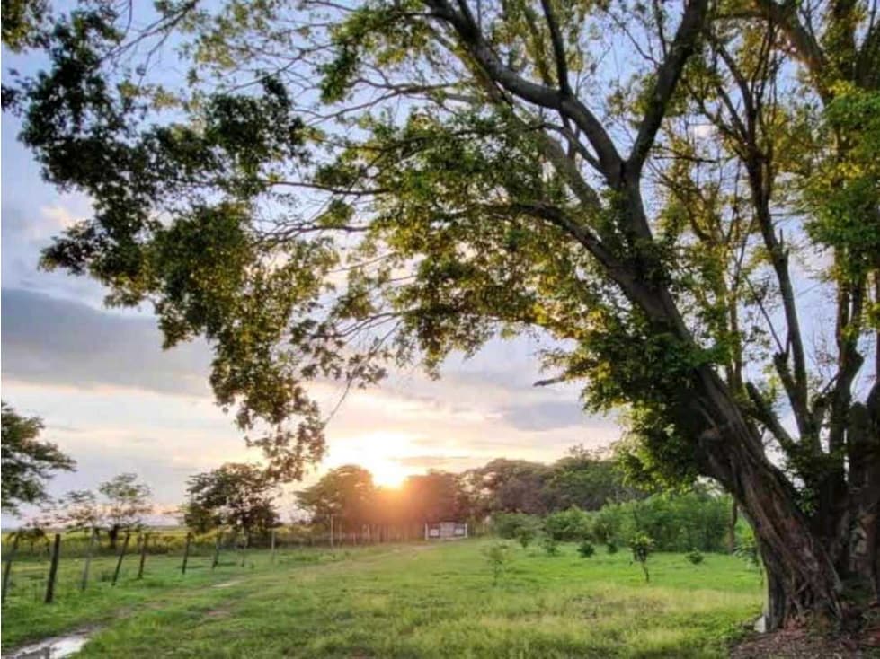 VENTA DE FINCA TRABAJADA EN ANTON PARA INVERSIÓN O VIVIR - 1