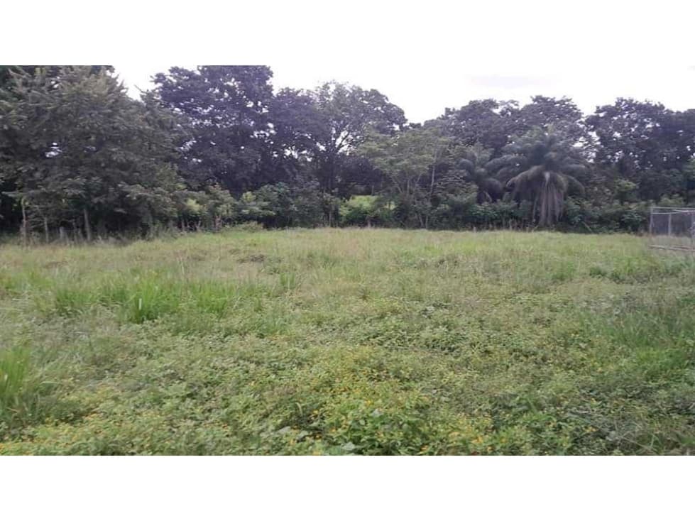 VENTA DE TERRENOS EN SANTIAGO B/. 24 X MT NEGOCIABLE - 1