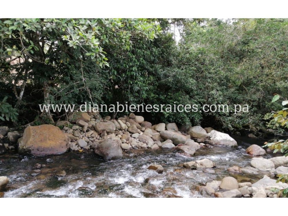 Se vende finca en Chiriquí - 1