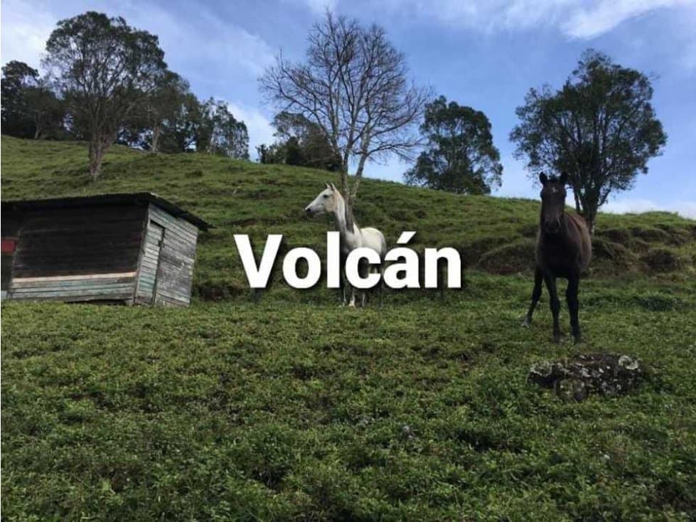 Se Vende, Finca en Chiriqui, 108 HA, $1,350,000 - 1