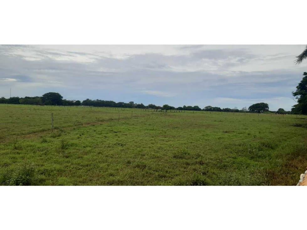 VENDO 124 HECTAREAS DE TERRENO EN BOQUERON - 1